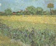 Vincent Van Gogh View of Arles with Irises in the Foreground (nn04) USA oil painting reproduction